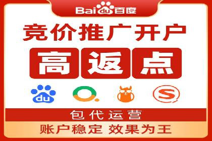 百度推广返点揭秘：真实案例分析